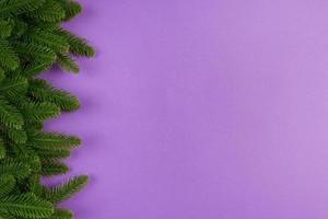 Top view of green fir tree branches on colorful background. New year holiday concept with empty space for your design photo