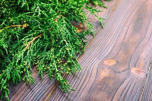 Branch thuja on dark wooden background with copy space. Toned photo