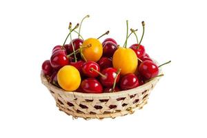 Basket of apricots and black cherries photo