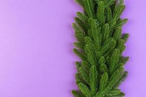 Top view of colorful festive background made of fir tree branch. Christmas holiday concept with copy space photo