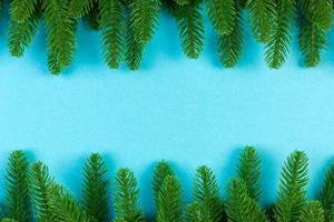 Top view of green fir tree branches on colorful background. New year holiday concept with empty space for your design photo