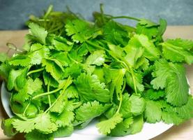 A bunch of coriander on a white plate. Useful product. Greens on the kitchen table. Vegetarian lunch ingredient. photo