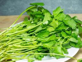 A bunch of coriander on a white plate. Useful product. Greens on the kitchen table. Vegetarian lunch ingredient. photo