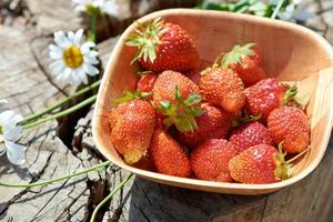 fresas frescas en un plato sobre un tocón de madera con flores de manzanilla en el fondo. foto