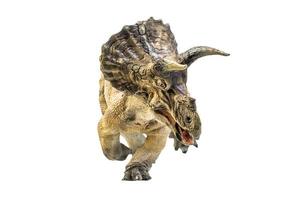 dinosaur , Triceratops on isolated background clipping path photo