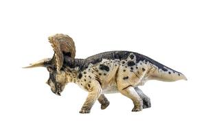 dinosaur , Triceratops on isolated background clipping path photo