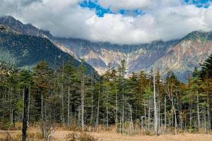 Kamikochi's hiking trail that walks through a nature trail in the heart of the Japanese mountains with the beauty of pines and mature trees changing their colors in the fall. photo