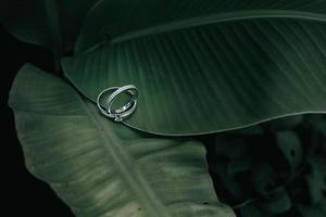 a pair of wedding rings on a leaf photo