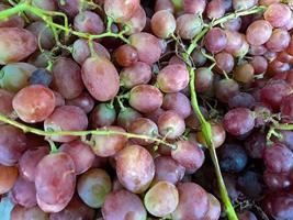 Healthy fruits Red grapes background dark grapes, Red grapes in the supermarket a group of local markets ready to eat grapes suitable for juices and fresh drinks photo