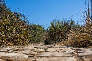 2022 08 11 Croazia cobblestone path 1 photo