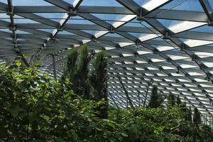 Sunlight through glass transparent roof of orangery greenhouse botanical garden with various evergreen plants. Modern architecture building. Gardening in the city and saving nature resources concept. photo