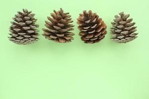 Pine fir cones of coniferous tree isolated on green background. Creative christmas holiday composition. Decoration for postcard. Natural forest materials. Top view, copy space, flat lay, close up photo