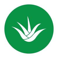 logotipo de aloe vera vector