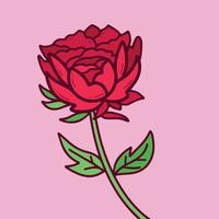 Red romantic rose flower on pink background. Vector illustration with cartoon flat art stye and flat clean line art drawing.