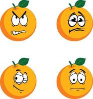 Orange fruit illustration vector