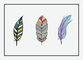 Vector colorful feather design