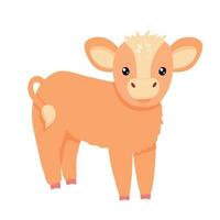 Cute calf isolated on white. Vector flat cartoon illustration. Little cow