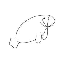 Manatee animal. Vector outline illustration isolated on white background