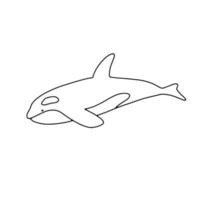 Ballena asesina de natación vectorial aislada en fondo blanco. contorno dibujado a mano doodle ilustración océano o animal submarino vector
