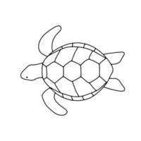 tortuga de natación vectorial aislada en fondo blanco. contorno dibujado a mano doodle ilustración océano o animal submarino vector