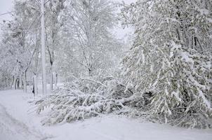 KHARKIV. UKRAINE - APRIL 4, 2022 Unexpected rapid fallout of snow in April on the Kharkov streets photo