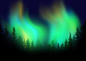 Silhouette of a tree landscape against a night sky with northen lights display vector