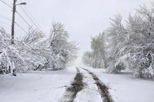 KHARKIV. UKRAINE - APRIL 4, 2017 Unexpected rapid fallout of snow in April on the Kharkov streets photo