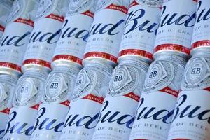 KHARKOV. UKRAINE - MAY 17, 2022 Many Cans of Budweiser Lager Alcohol Beer lies on camo surface. Budweiser is Brand from Anheuser-Busch Inbev most popular in America photo