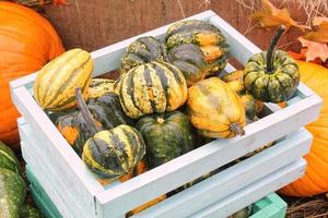 Colourful organic pumpkins and gourds on agricultural fair. Harvesting autumn time concept. Garden fall natural plant. Thanksgiving halloween decor. Festive farm rural background. Vegetarian food. photo