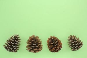 Pine fir cones of coniferous tree isolated on green background. Creative christmas holiday composition. Decoration for postcard. Natural forest materials. Top view, copy space, flat lay, close up photo