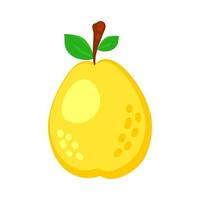 Colorful cartoon pear fruit icon isolated on white background. Doodle simple vector summer juicy food. Juice package or logo design element.