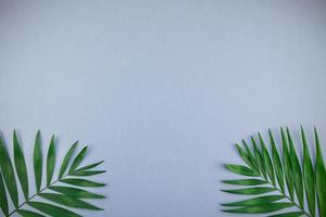 Tropical palm leaves on blue grey paper background photo