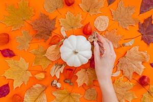 composición plana de otoño con calabaza blanca foto