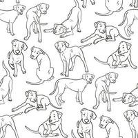 A pattern with an Argentine Great Dane in different poses. Line graphics on a white background. Suitable for printing on paper and textiles. Gift wrapping, clothing. vector