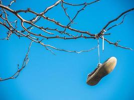 Old shoe hanging on the tree isolated on blue sky background. photo