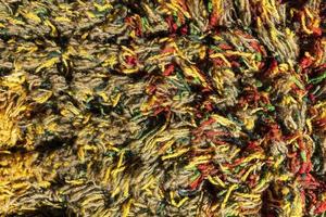 Background of a multi-colored shaggy carpet, Multi-colored rug, macro photography. Abstract texture of long-piled carpet photo