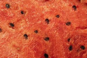 Watermelon background, juicy pulp and seeds, red background, watermelon slice texture photo