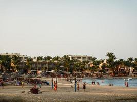 beach with lot of people and palm trees on vacation photo