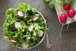 ensalada de lechuga y rabanitos foto