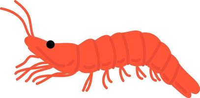 Hand drawn style ocean shrimp vector