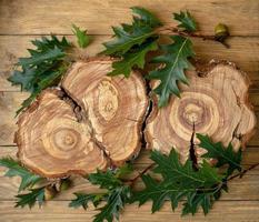 A stump made of a felled tree with annual rings on a background of wooden planks with oak branches and leaves. Top view photo