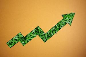 ESG, Environmental Care Concept. Craft Paper Cut as Upward Arrow Graph to show Green Grass below. Environmental and Business Growth Together. Sustainable Resources photo