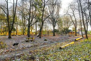 Cool fresh forest and nature in winter time in Germany. photo