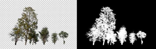 Isolated trees on transparent background with cut path and alpha channel. photo