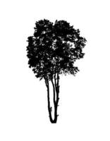 Tree silhouette for brush on white background photo