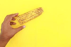 hand pick a Sweet corns on yellow background photo