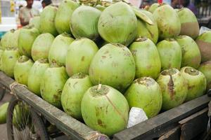 stack of fresh coconut display for sale photo