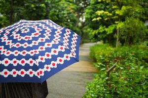 women under umbrella in the rain photo