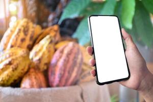 Mockup Mobile phone holding in hand with blurred cocoa fruits background, concept for using smart devices with fruit price at home, at work, on application and in daily life. photo