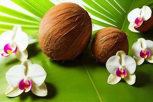 Tropical background with exotic flowers, coconut and palm leaves. photo